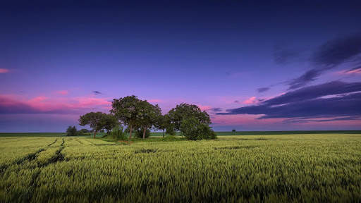Summer Wallpapers : backgrounds hd screenshot 9