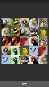 Bird Games FREE: Puzzles Calls screenshot 6
