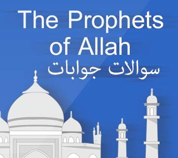 General Knowldege Of Islam screenshot 3