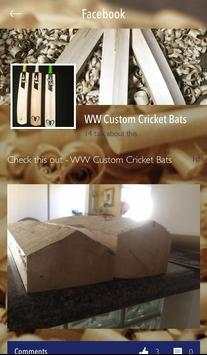 WW Cricket screenshot 2