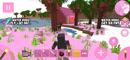 Candy Craft screenshot 4