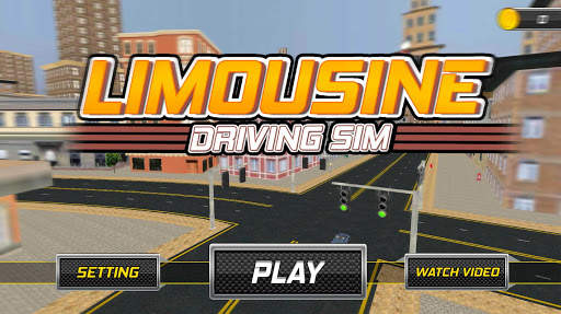Limousine Driving Sim screenshot 1