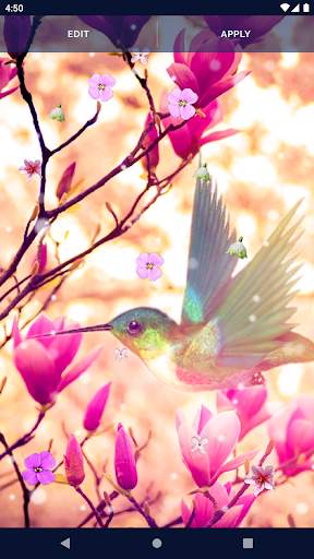 Spring Flower Live Wallpaper screenshot 5