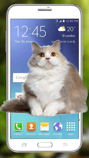 Funny Cat Walks On Screen - Cute Animation screenshot 3