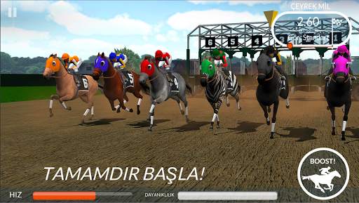 Photo Finish Horse Racing screenshot 6
