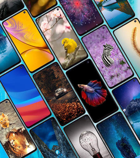 Wallpaper for i phone 11 - 11 pro max скриншот 4