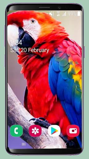 Bird Wallpaper New 4K screenshot 7