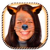 Animal Face Swap logo