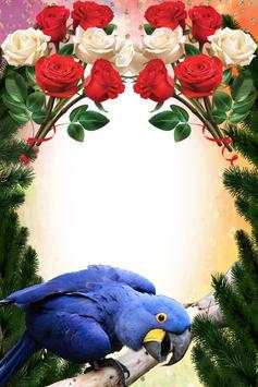 Macaw Birds Photo Frames screenshot 6