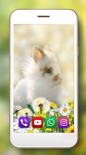 Bunny Fluffy Live Wallpaper screenshot 6