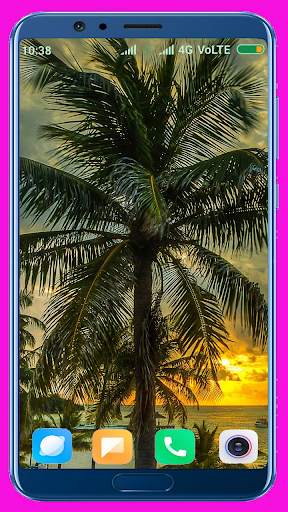 Palm Tree Wallpaper screenshot 12