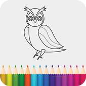 Draw Birds 300