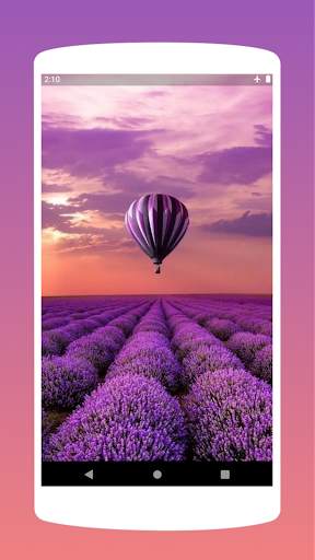 Purple Violet Wallpaper Offline - Best Collection screenshot 1