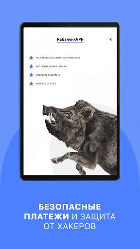 Кабанчик VPN screenshot 8
