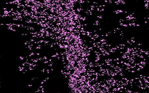 projectM Music Visualizer screenshot 13