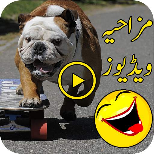 Funny Videos 1.0