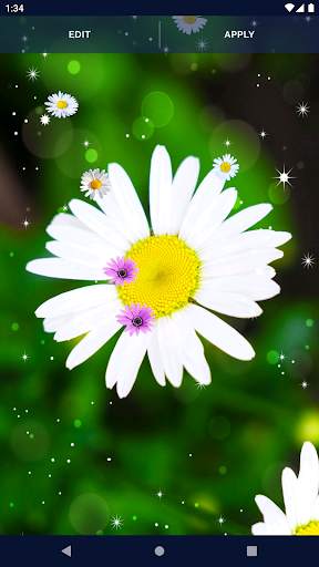 3D Daisy Spring Live Wallpaper screenshot 8