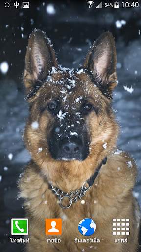 German Shepherd Wallpaper screenshot 2
