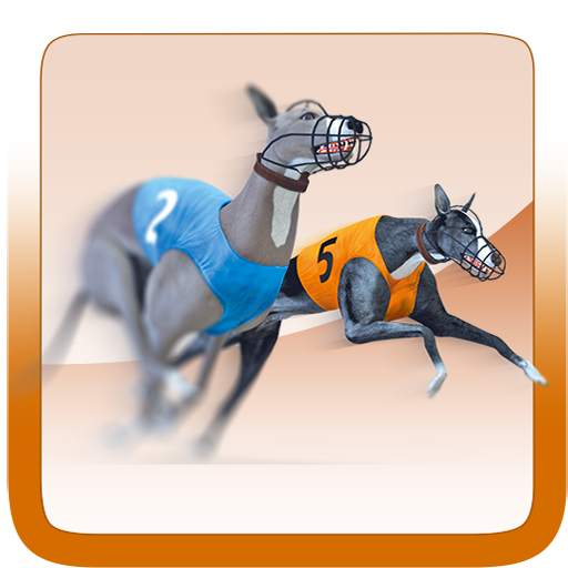 Pro Racing Greyhound 1.3.0