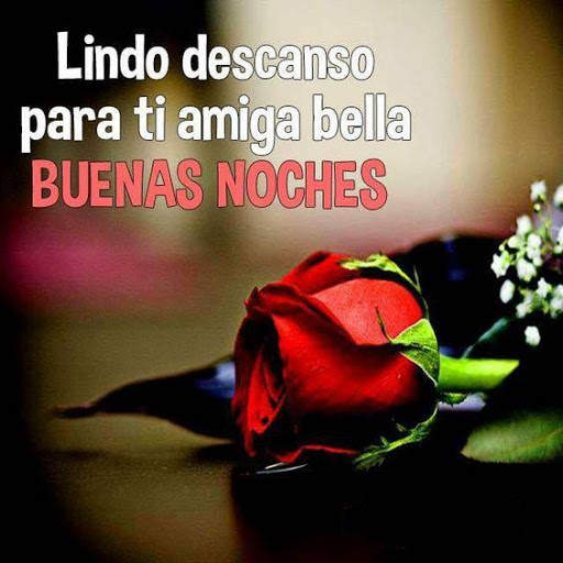 Buenas Noches Fotos Rosa GIF screenshot 7