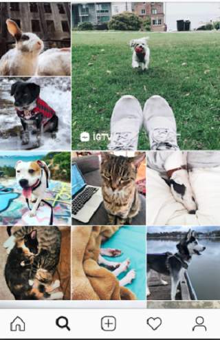 photogram – Social Media screenshot 3
