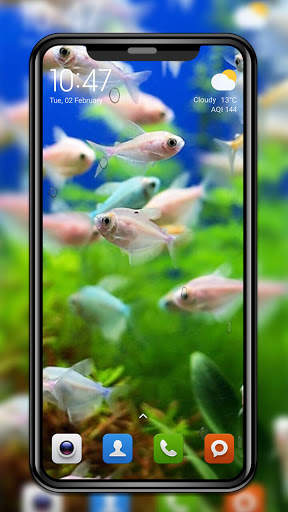 Magic Touch KoiFish LWP screenshot 2