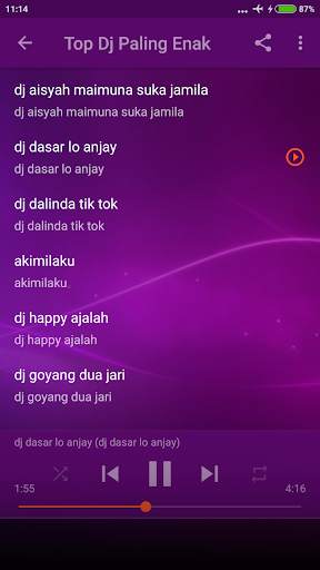 Dj Aku Takut Kehilanganmu Offline screenshot 4