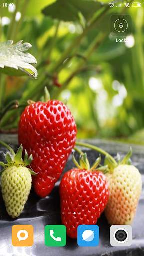 Strawberry Wallpaper HD screenshot 3