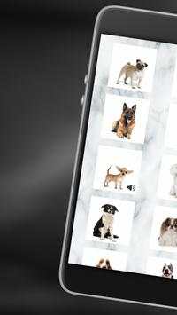 Bark screenshot 1