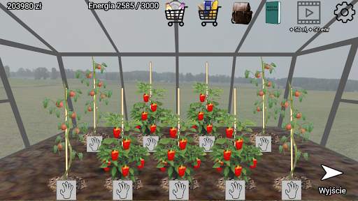 Zaradny Polak screenshot 10