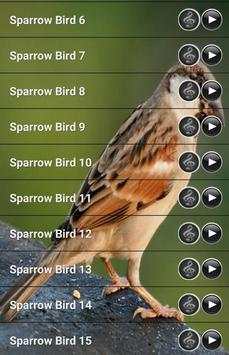 Sparrow Bird Sound screenshot 1