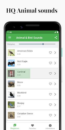 Suoni di uccelli e animali screenshot 1