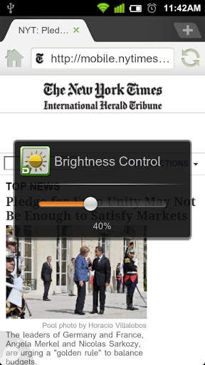 Dolphin Brightness screenshot 2