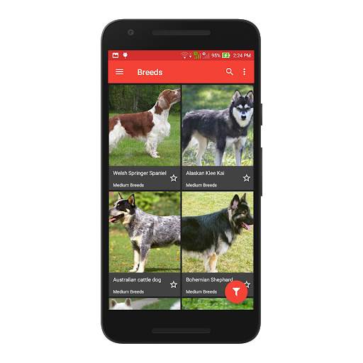 Dog Lovers screenshot 1