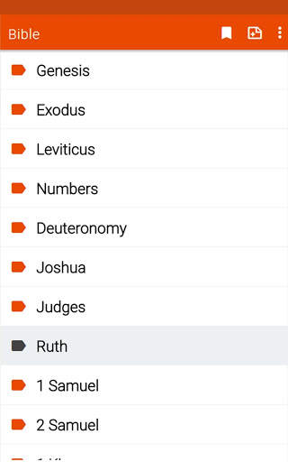 Common English Bible screenshot 19
