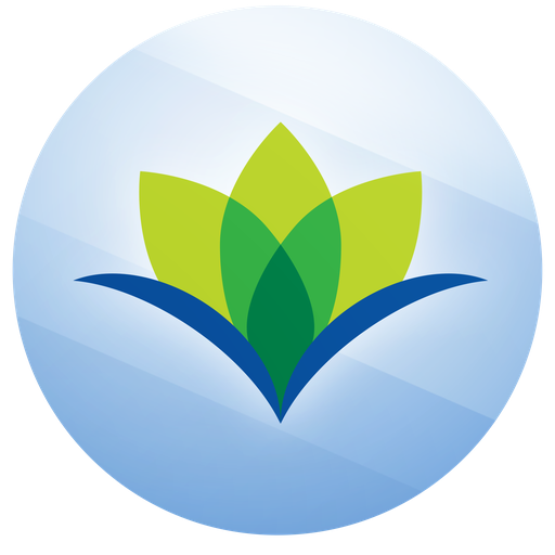 Leumit icon