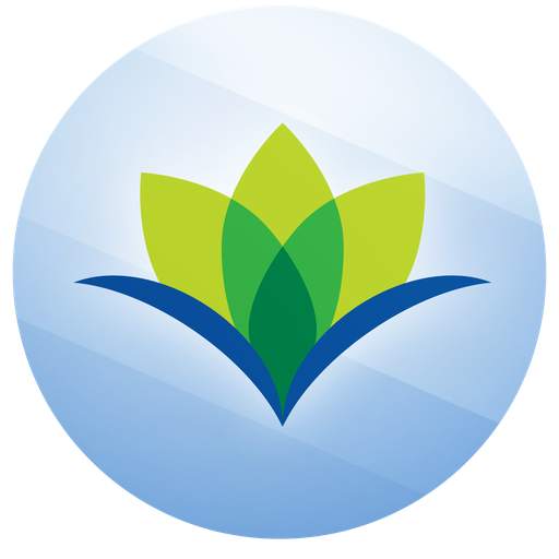 Leumit 6.5.6