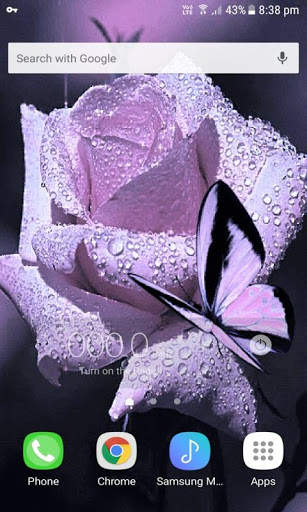 Purple Rose Butterfly LWP screenshot 2