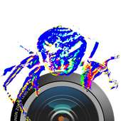 Glow Photo Spider Camera logo