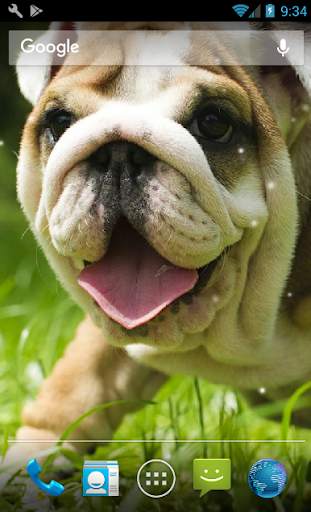 Puppies Pitbull Live Wallpaper screenshot 1