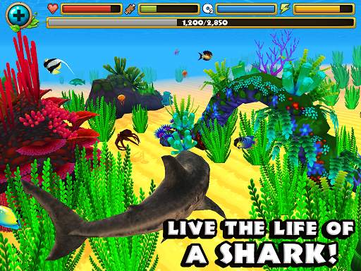 Wildlife Simulator: Shark screenshot 6