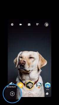 Tribees - Camera app for the connected generation 2 تصوير الشاشة