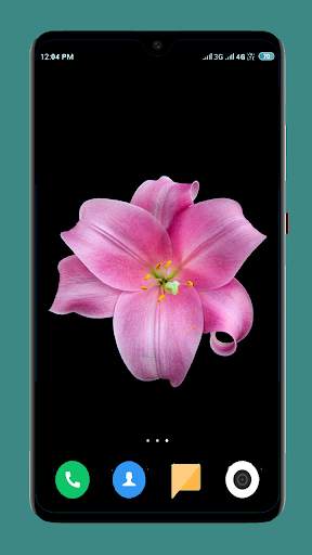 Flowers Wallpaper 4K 2 تصوير الشاشة