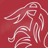Daily Gamecock logo