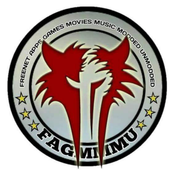 FCS TEAM VPN icon