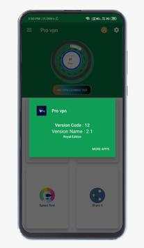 Pro vpn screenshot 2