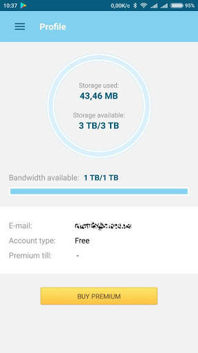 Datafile.com File Manager screenshot 2