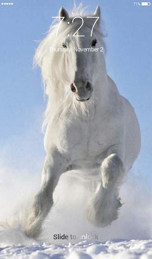 Horses Lock Screen 4K Wallpaper screenshot 3