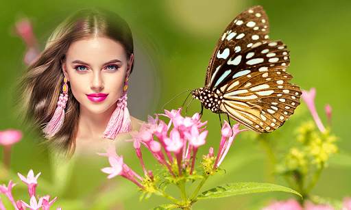 Butterfly Photo Frames : Butterfly Wallpapers screenshot 4