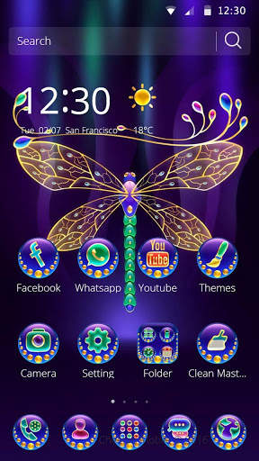 Diamond Dragonfly Theme screenshot 1